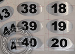 Наклейки с номером для шкафчиков в раздевалку №25. Пленка LG под серебро. Размер наклейки 45х80 мм.