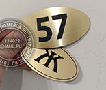    31.  ,   .          ,    ""  "".
