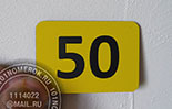    49.   - ,    ,   - . .